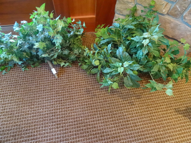 Plant Arrangements
