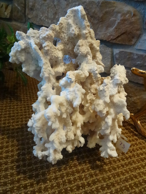 Coral with Stand