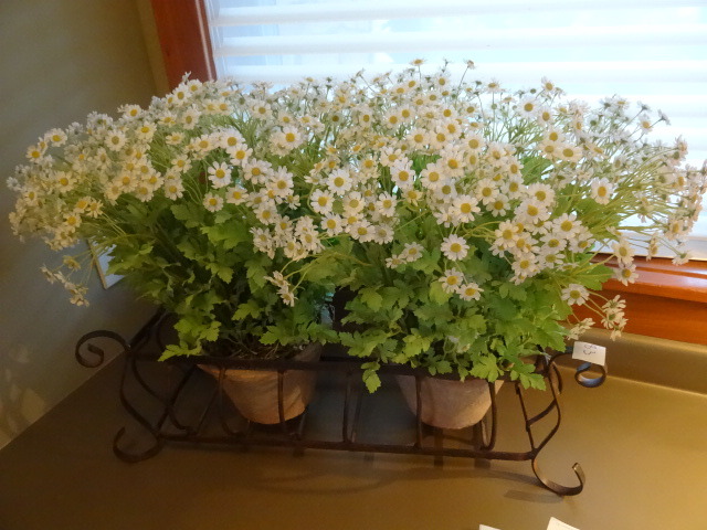 Plant Stand