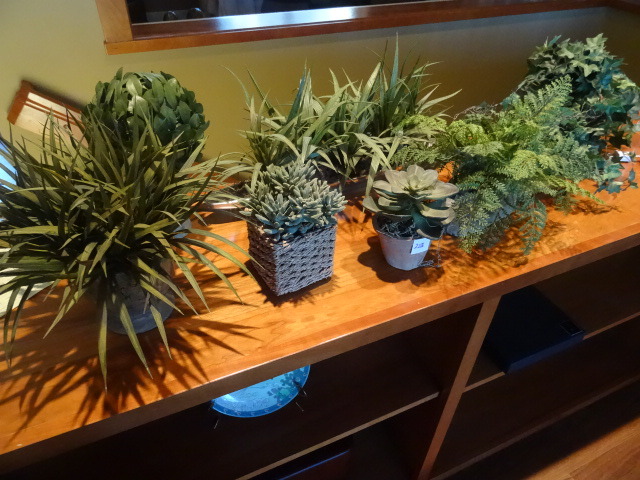 Plant Arrangements