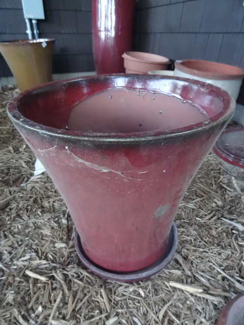 Clay Flower Pot