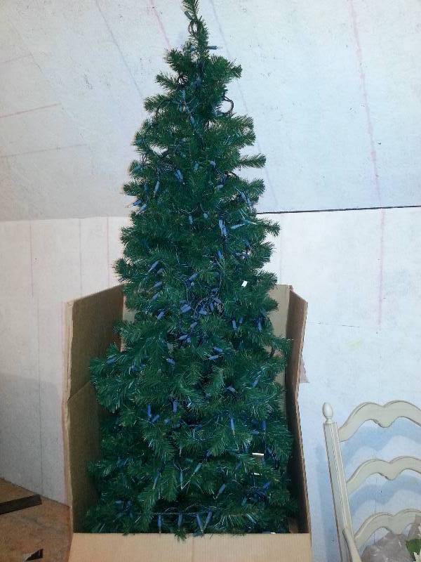 Lighted Tree