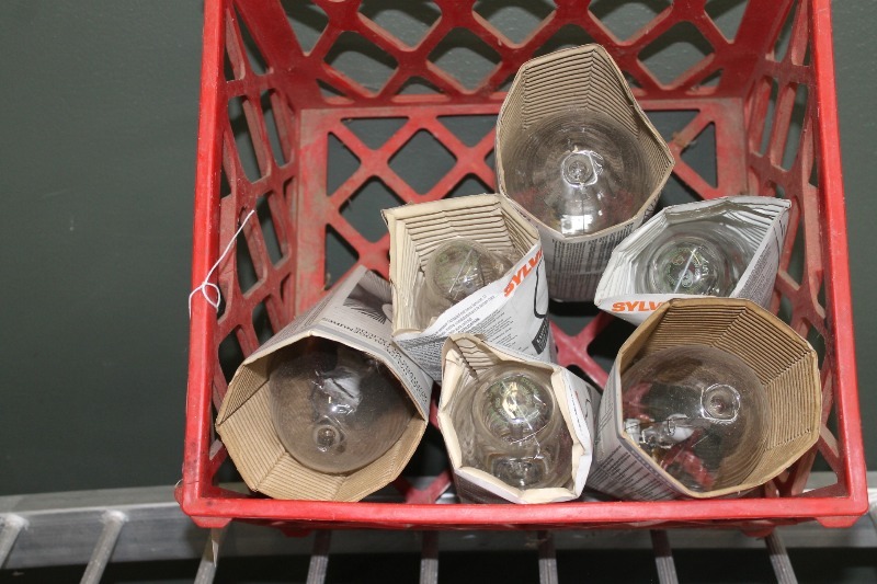 Assorted Light Bulbs