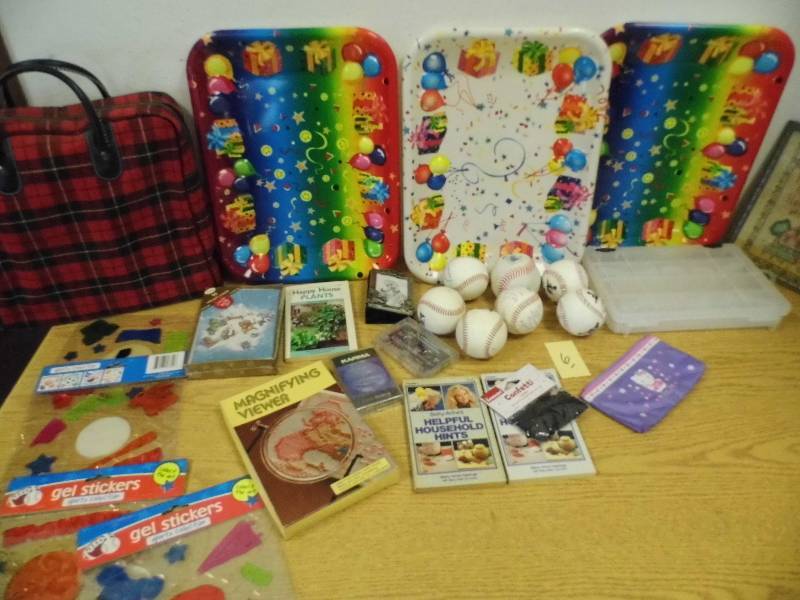 Picnic Set, Baseballs, Organizer