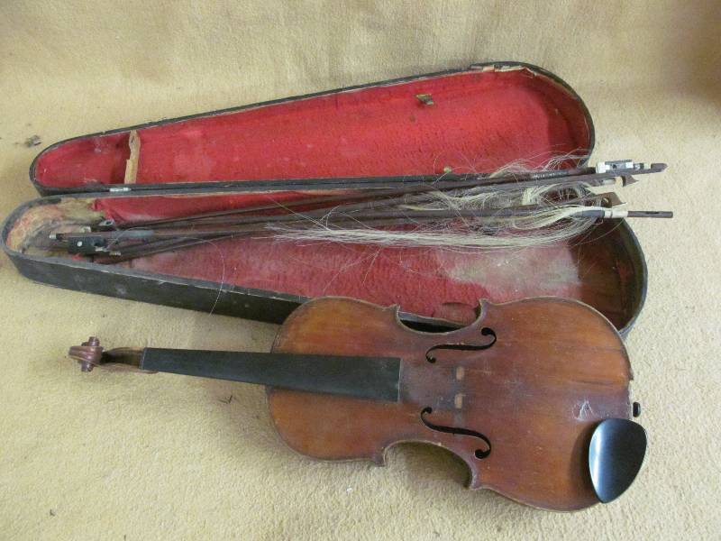 violin