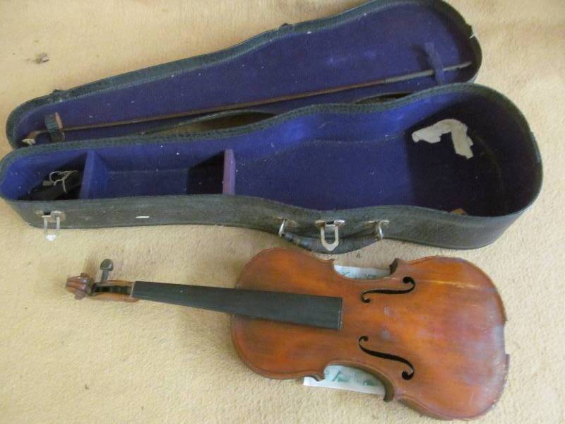 violin