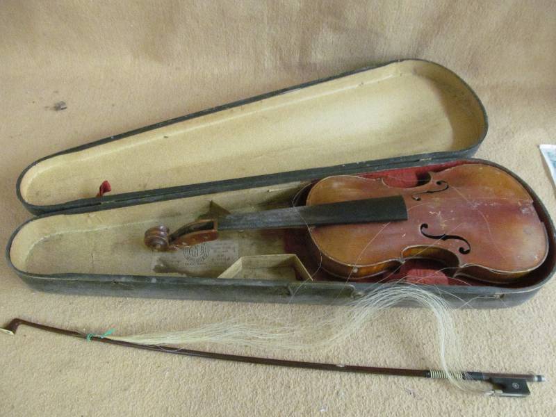 violin