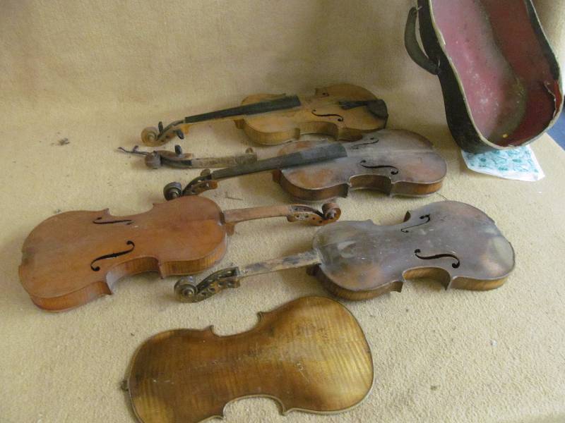 violin