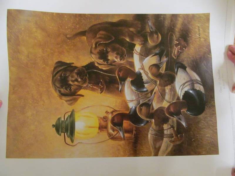 picture