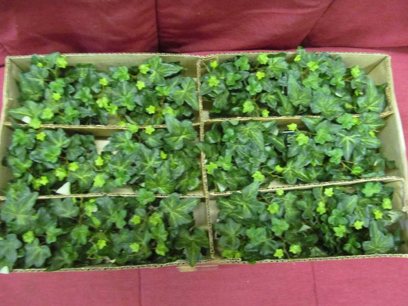 greens