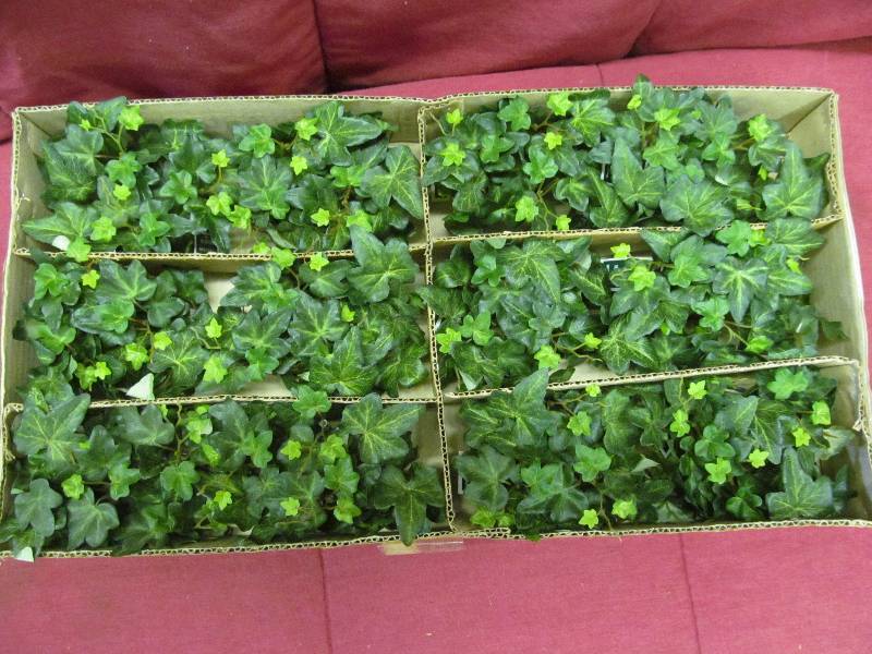 greens