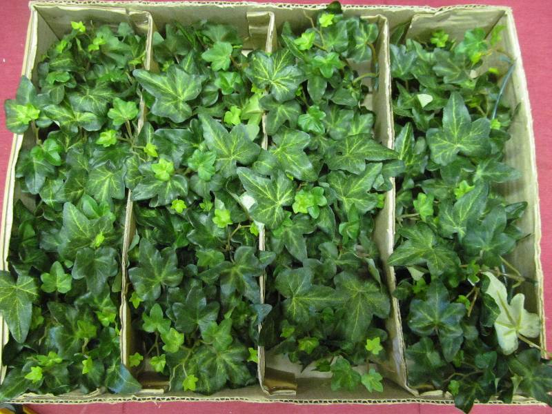 greens