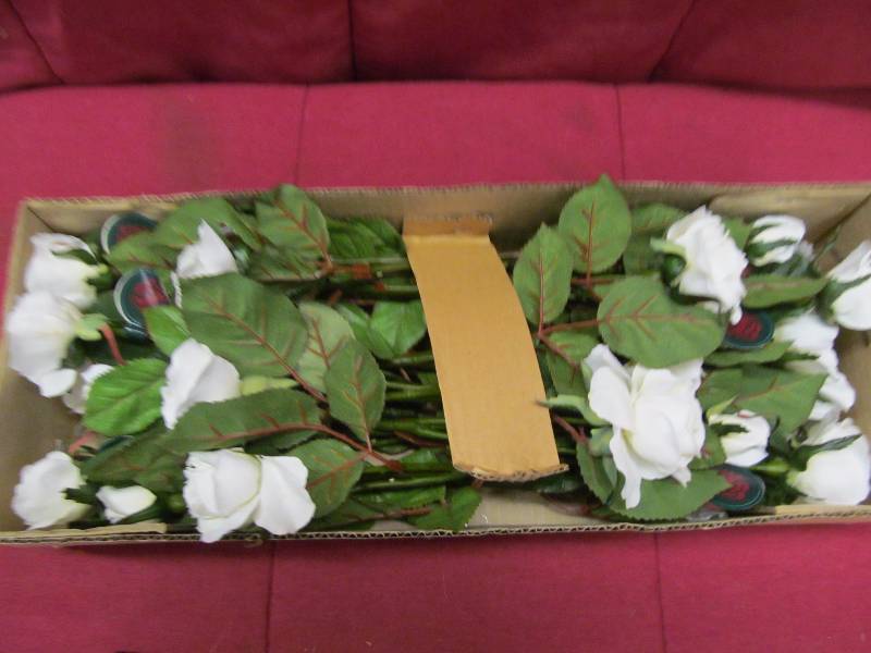 rose pics