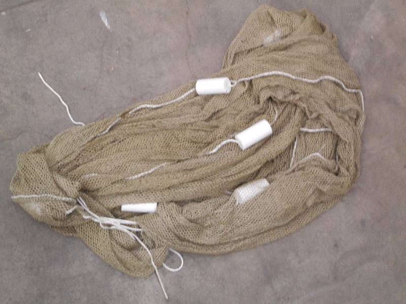 lot 123 image: Weighted Sein Minnow Net With Float...