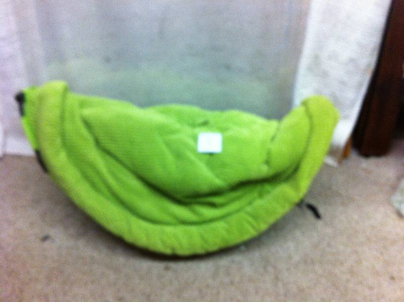 Collapsible Chair