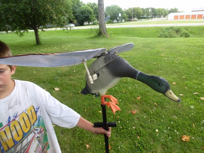 Lucky Duck Robotic Decoy