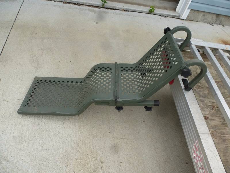 Aluminum Dog Ladder
