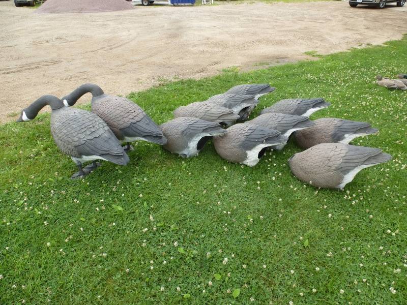 Big Foot Goose Decoys Magnum