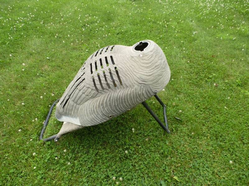 Woods Calls Sitting Goose Blind