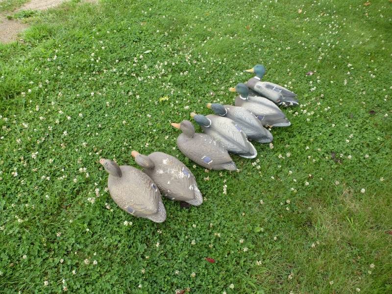 Mallard Duck Decoys