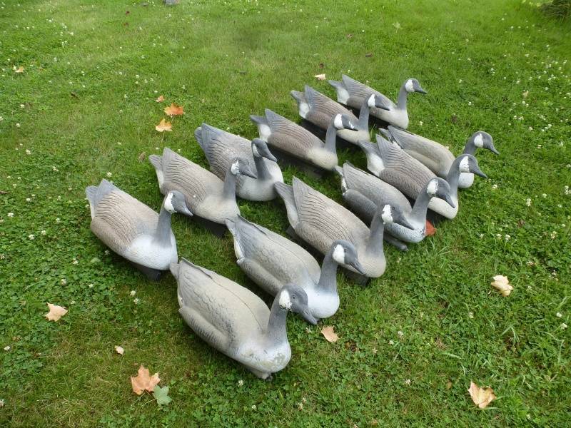Goose Decoys Floaters