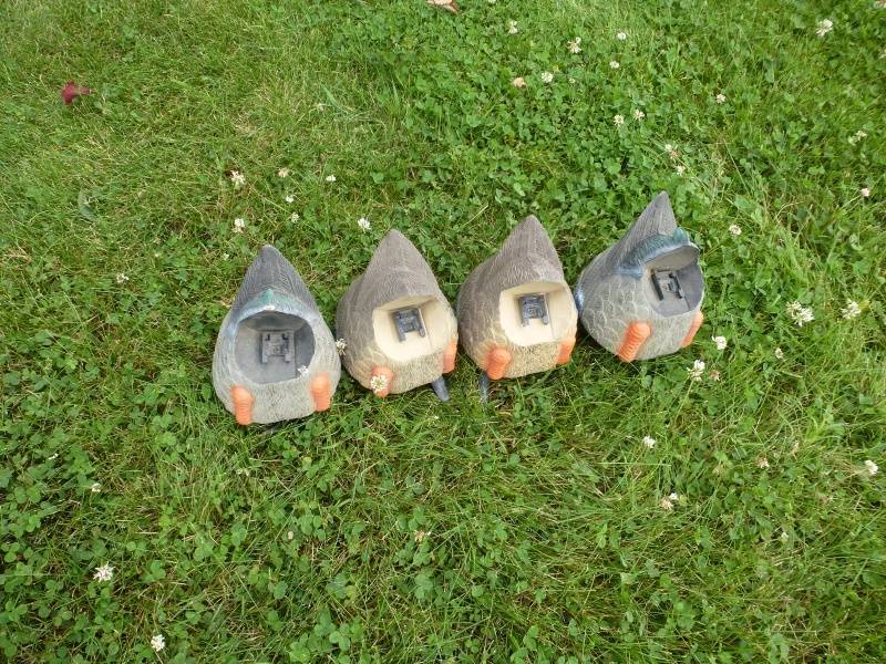 Duck Butt Floater Decoys