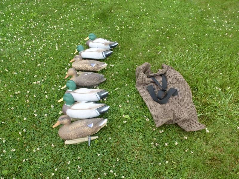 Flambeau Storm Front Decoys Mallard