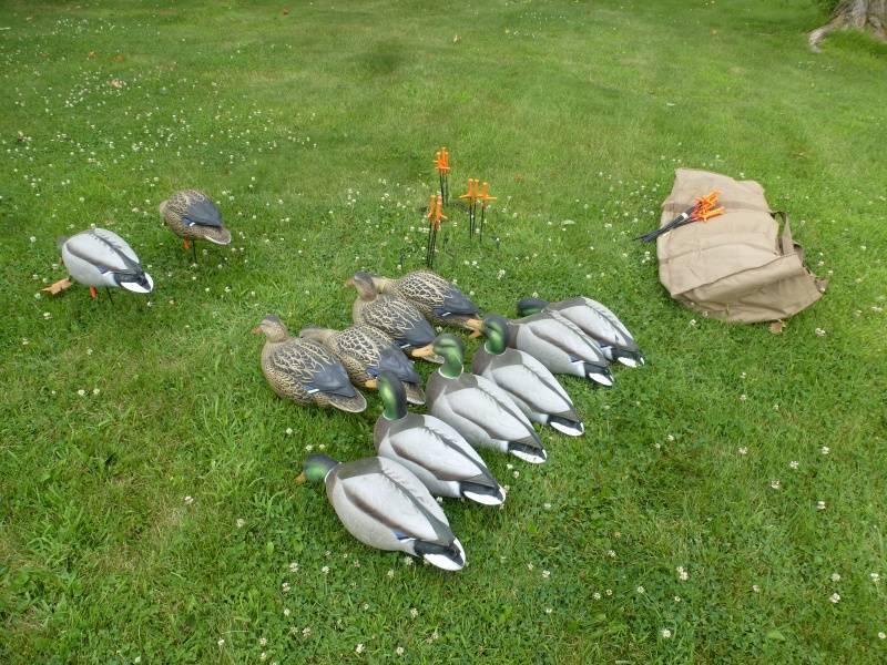 Mallard Duck Decoys Ground