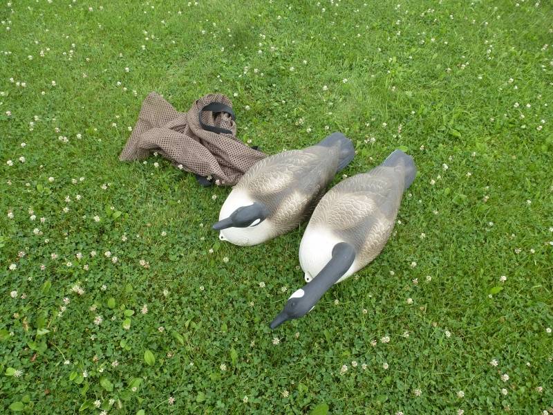 Magnum Goose Floater decoy