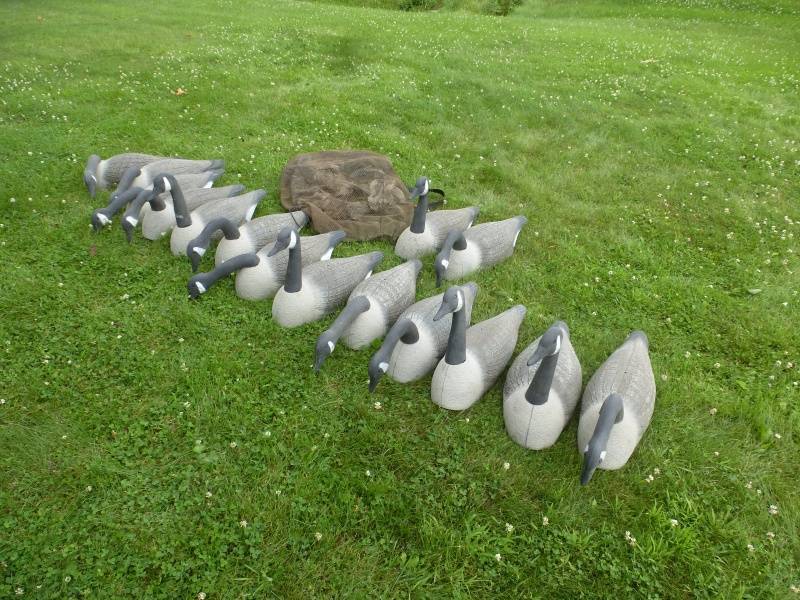Magnum Goose Shell Decoys