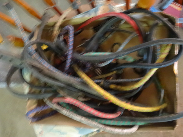 Bungee Straps