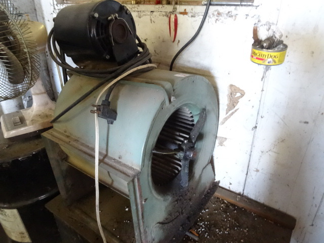 fan