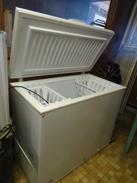 Chest Freezer