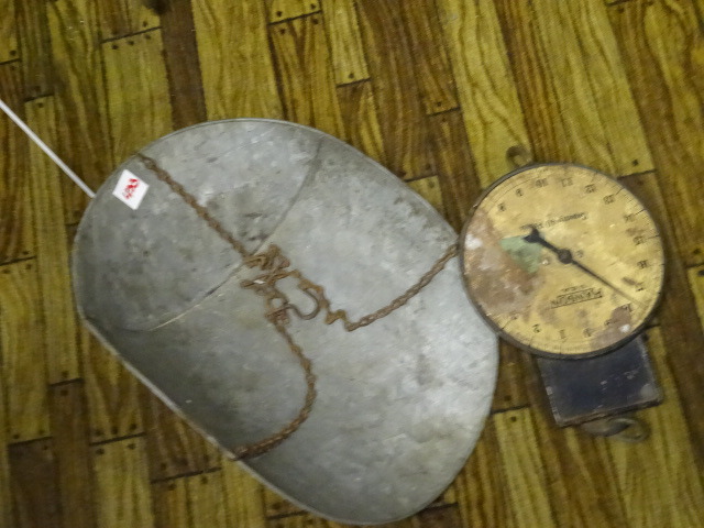 Hanging Scale