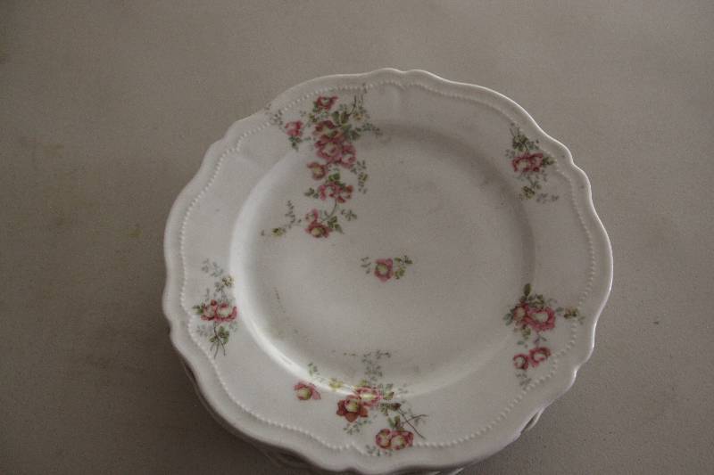 5 O.&E.G. Royal Austria Dinner Plates