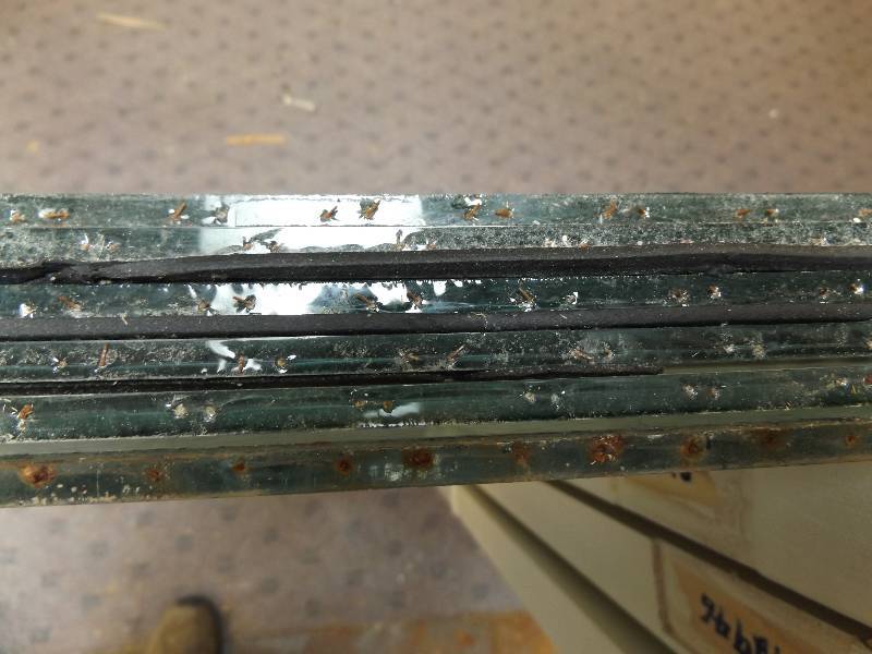 lot 36 image: 6 pieces 36 x 36 security glass