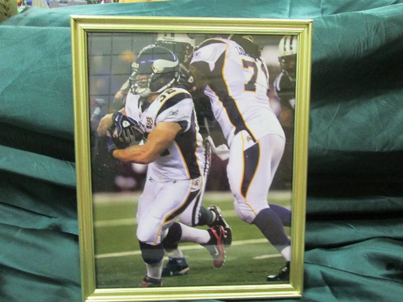 Framed Picture, #32 Toby GerHart, M...