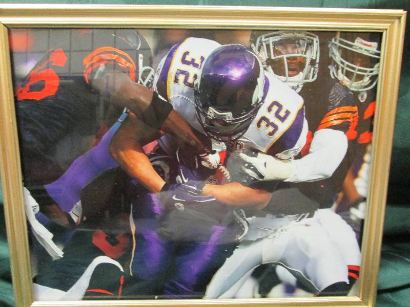 Framed Picture, #32 Toby GerHart, M...