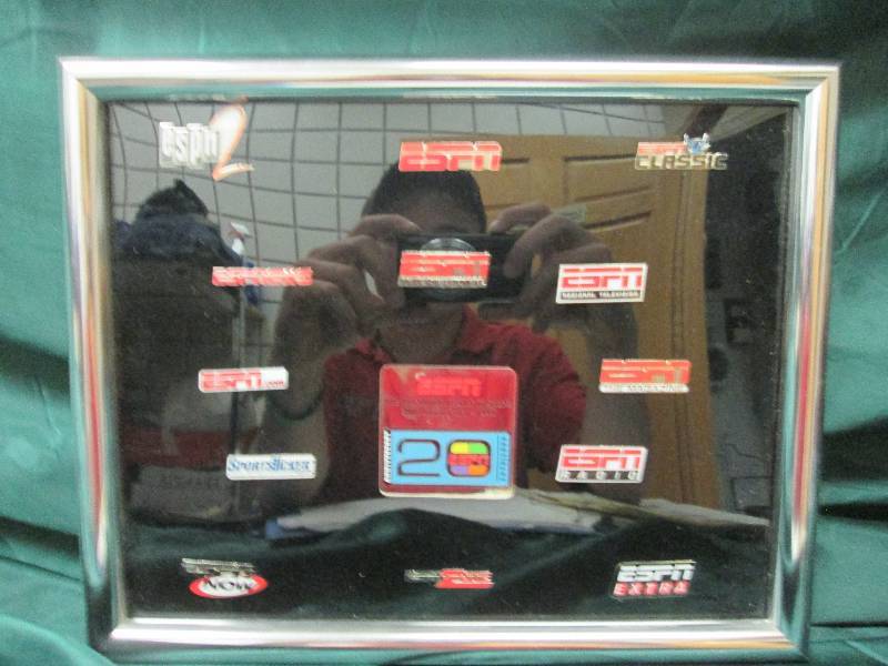 15 Pc. Set of ESPN Pins In Glass Fr...