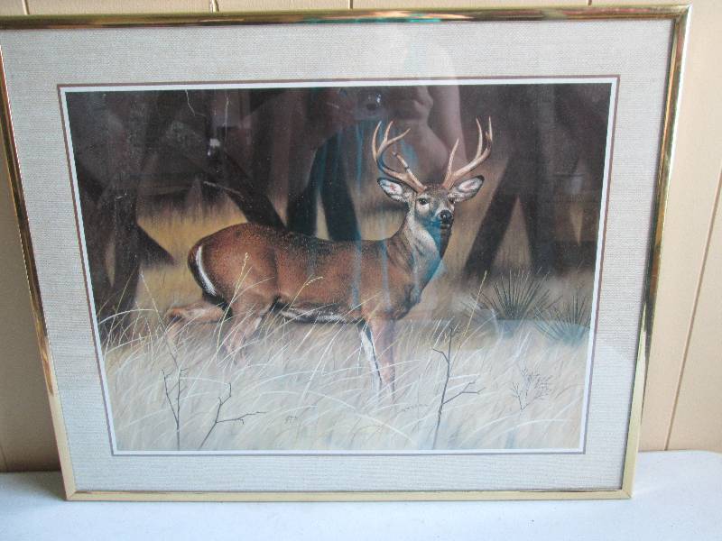 Picture of a 8 point buck matted an...