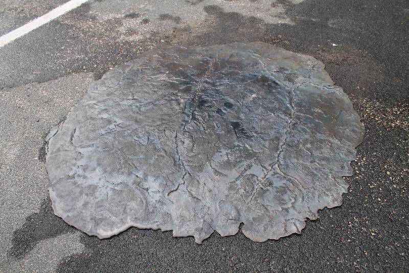 Concrete Decorative Skin