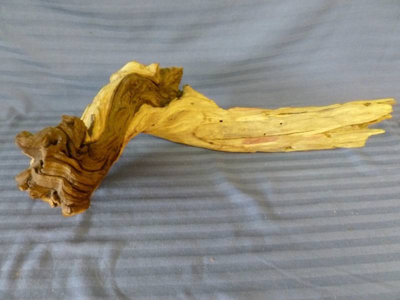 Driftwood