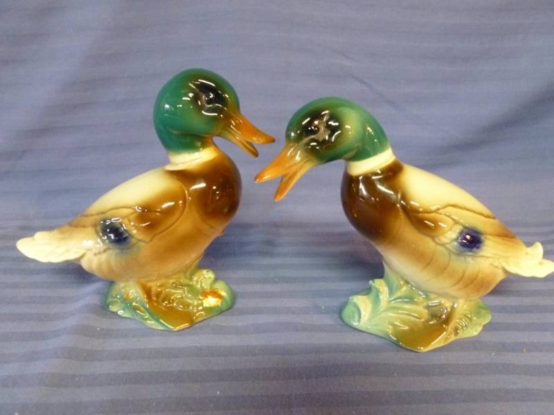 Royal Windsor Ducks