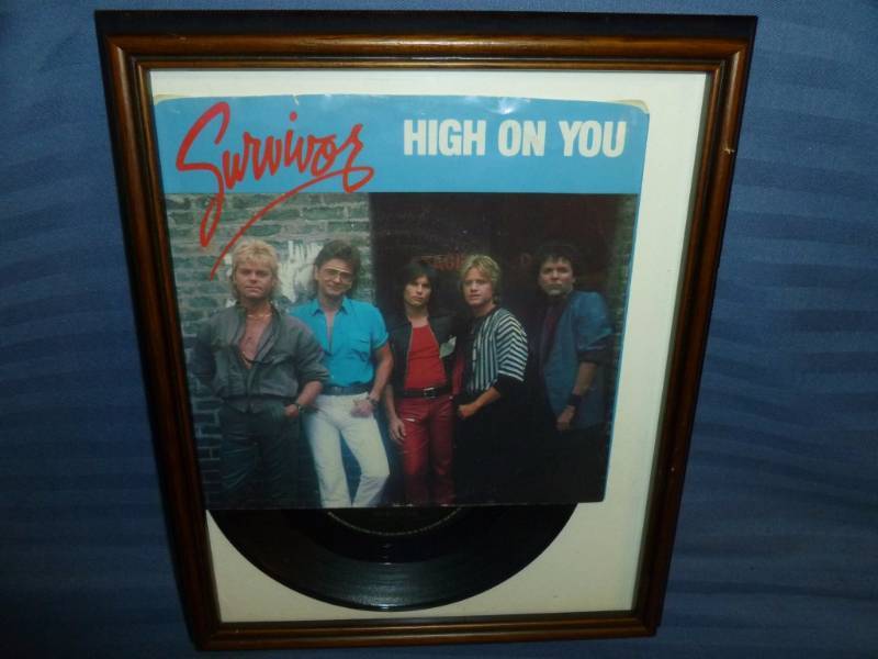 Collectible Framed Record