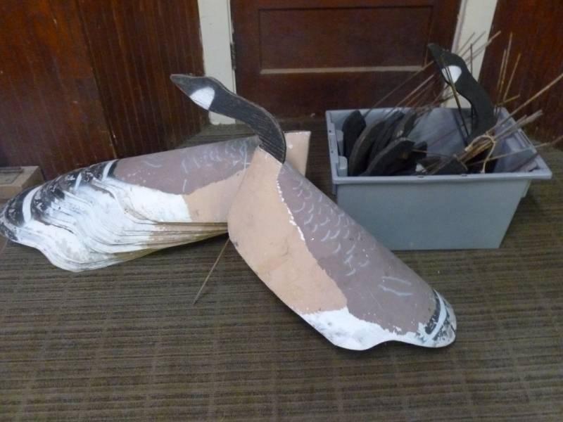 Canadian Goose Decoys