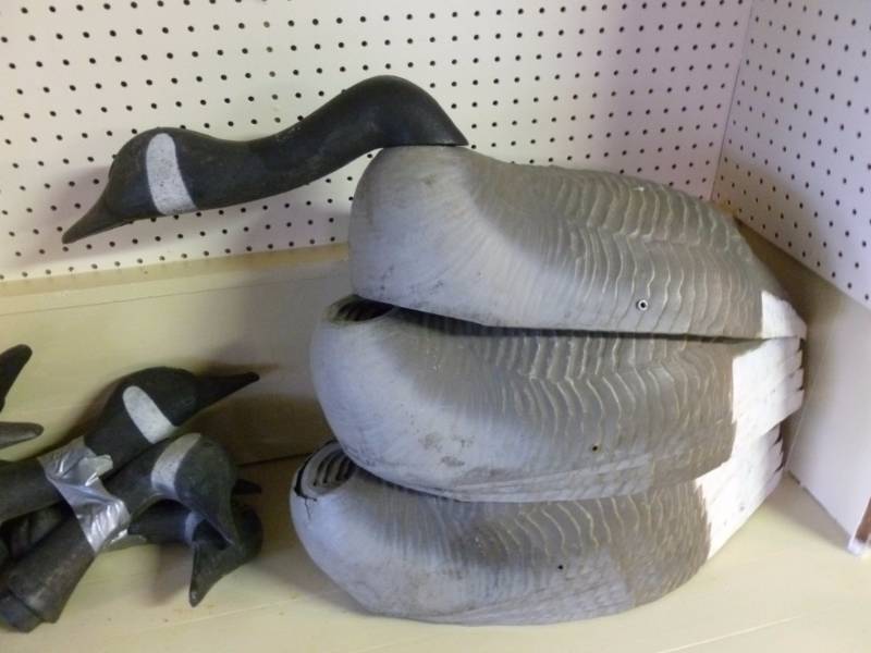 Canadian Goose Decoys