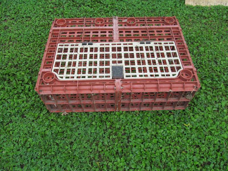 lot 85 image: Poultry cage