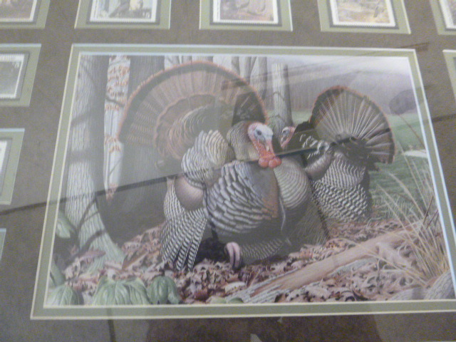 National Wild Turkey Federation Stamp Collection Northstar Kimball August Consignments 4 K Bid