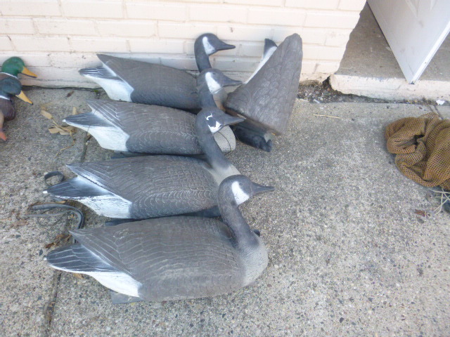 lot 90 image: 5 Floating Geese Decoys