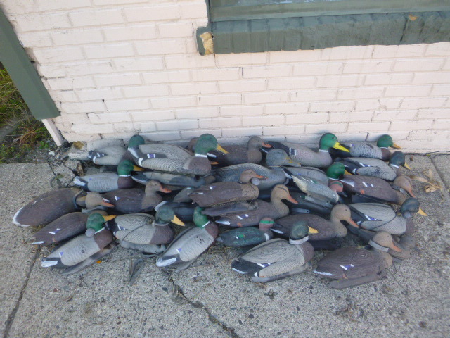 lot 91 image: Lot of Miscellaneous Duck Decoys